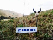 Ribbok roete-2008-1024 x 768-WEB