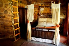 Tolbos, Kiepersol en Lemoendoring Chalet-2013-0005-2013-4837 x 3225-WEB