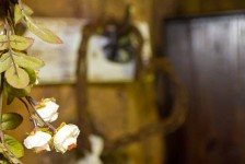 rest-2014-1024 x 683-WEB