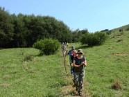single file-2018-4608 x 3456-WEB