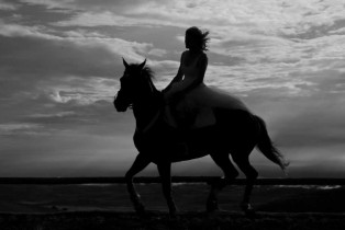 horsing about bride-2014-1024 x 683-WEB