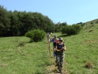 single file-2018-4608 x 3456-WEB